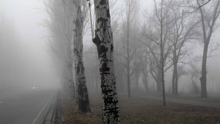 Утренний туман