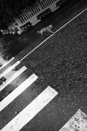 stop!
