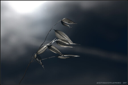 : ответЫ [2/5]