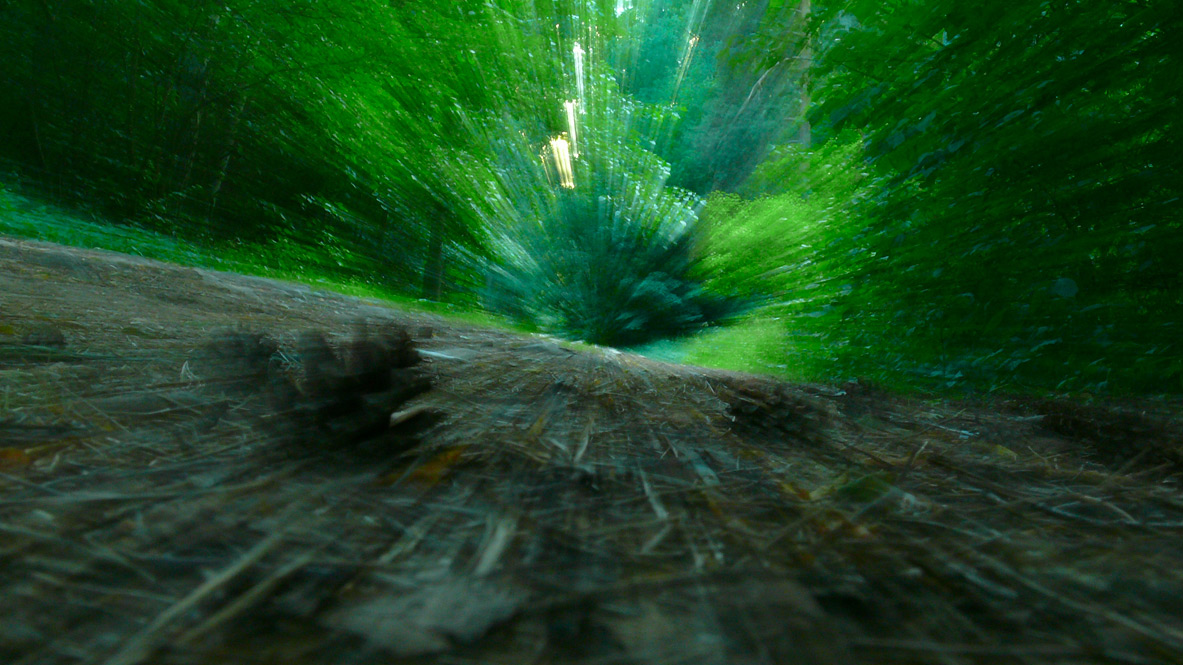 speed