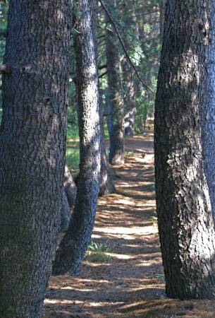 Не заблудиться бы.