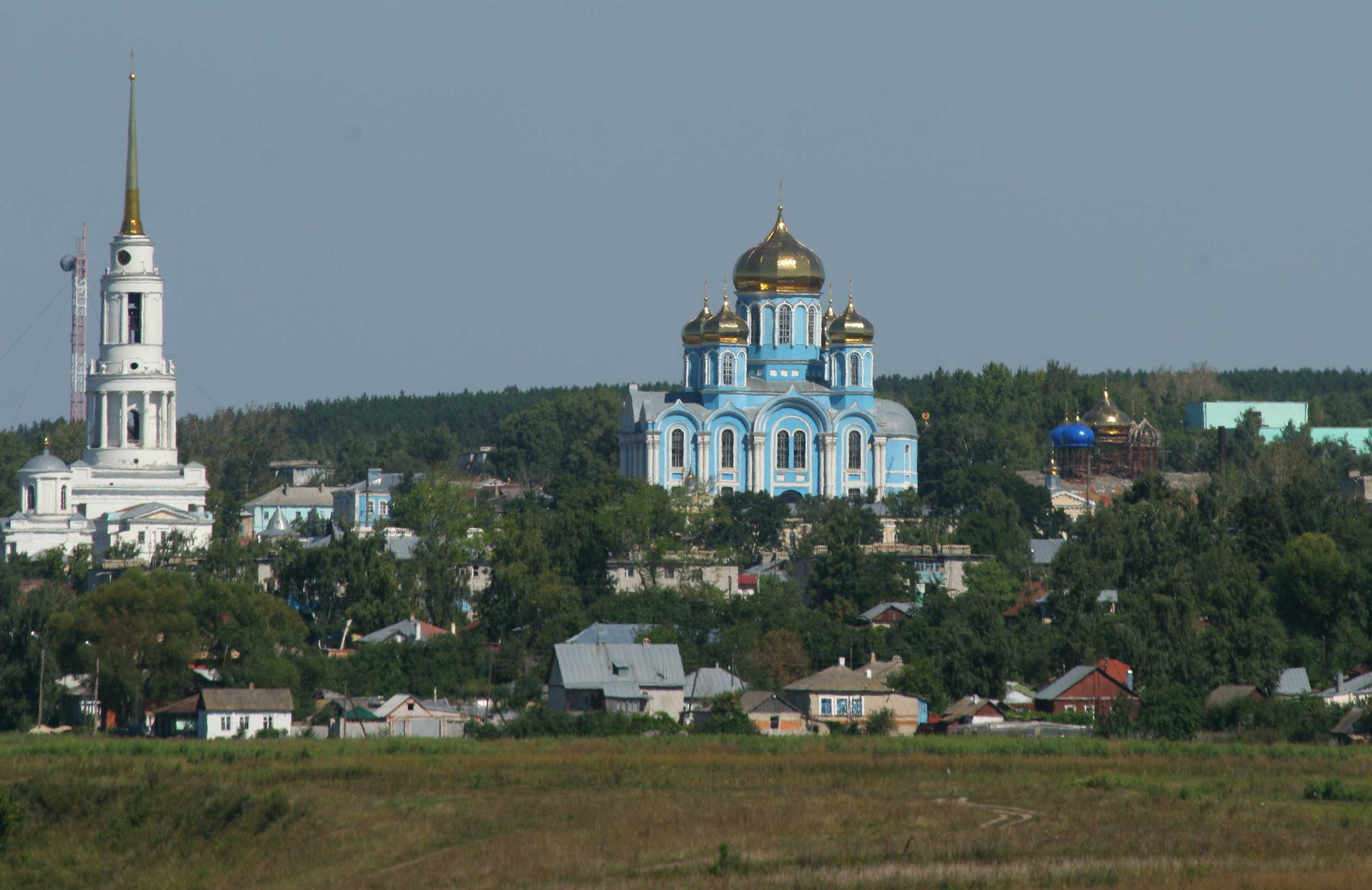 задонск
