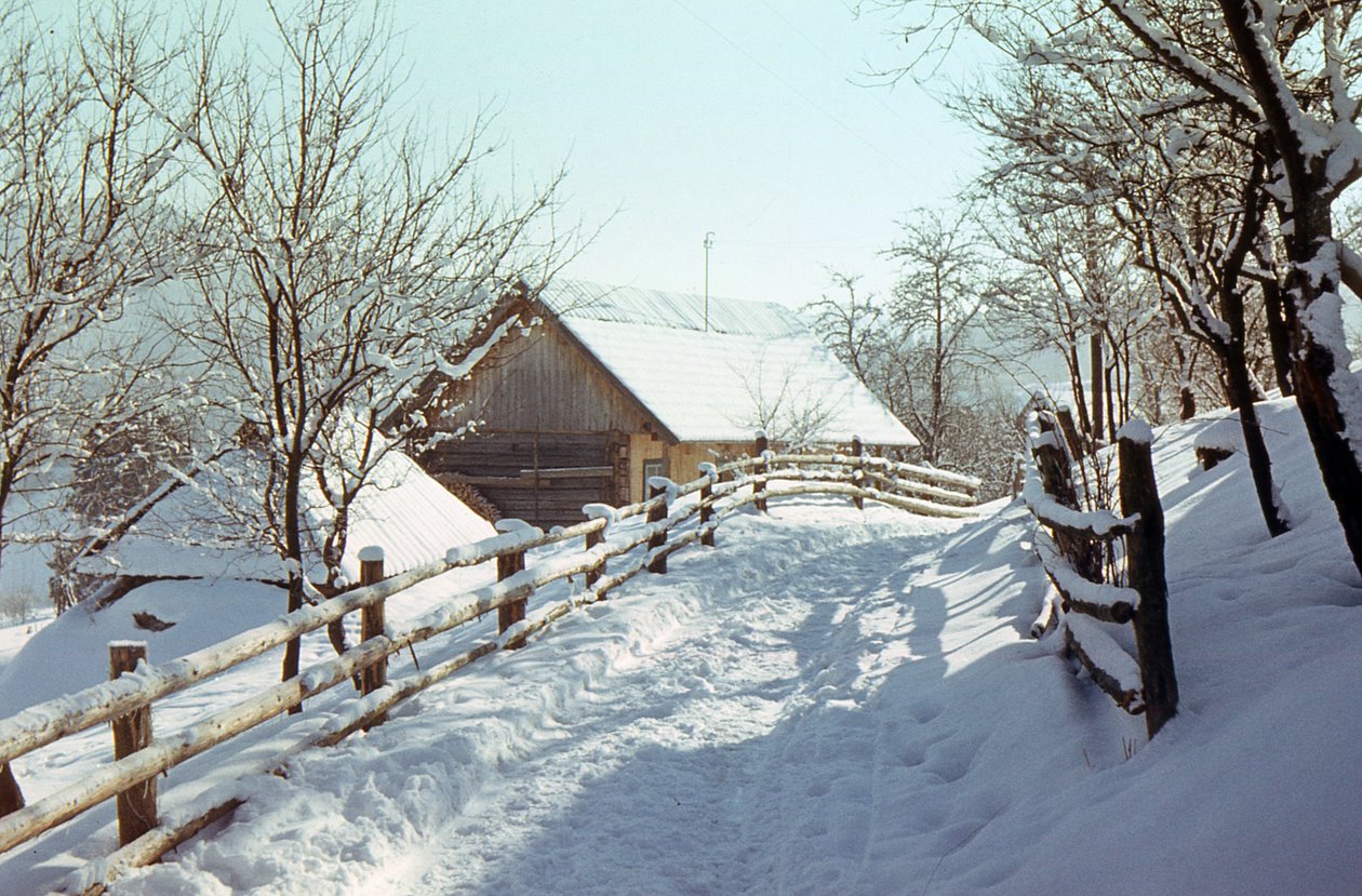 Село Грабовец,Карпаты.