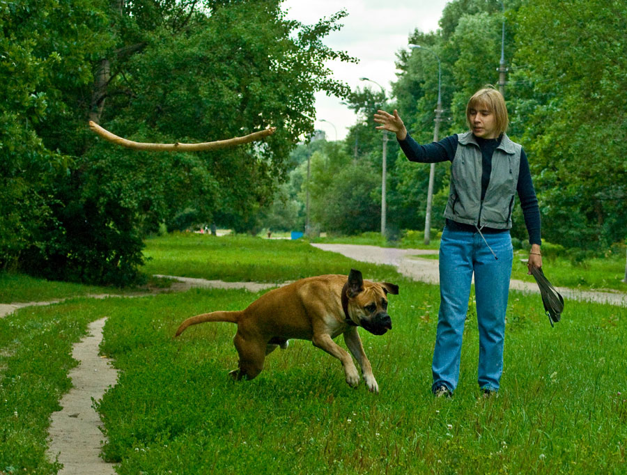 Низкий старт