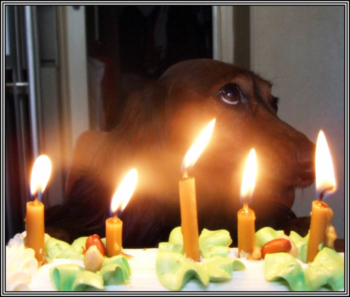 	Нам 5 ЛЕТ!!! 
