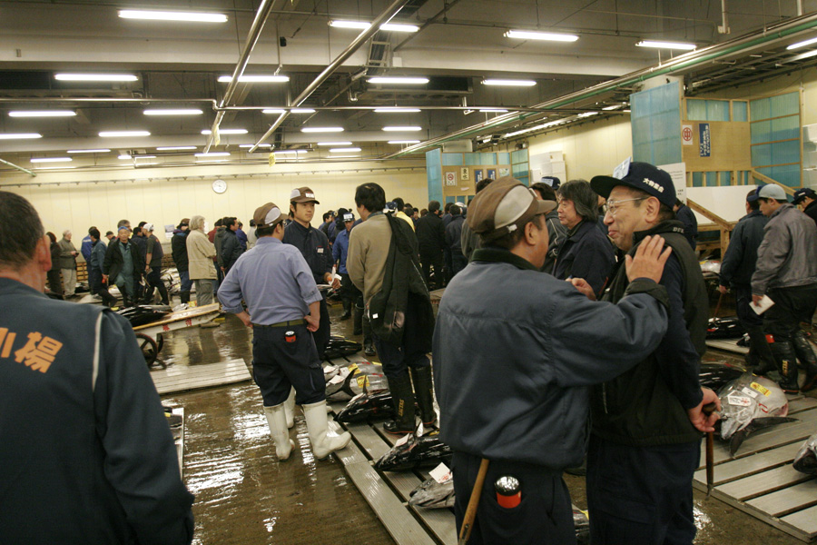 FISH MARKET #1. TOKYO. JAPAN