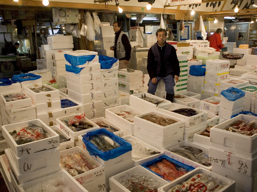 Tsukiji Market (рыбный рынок)