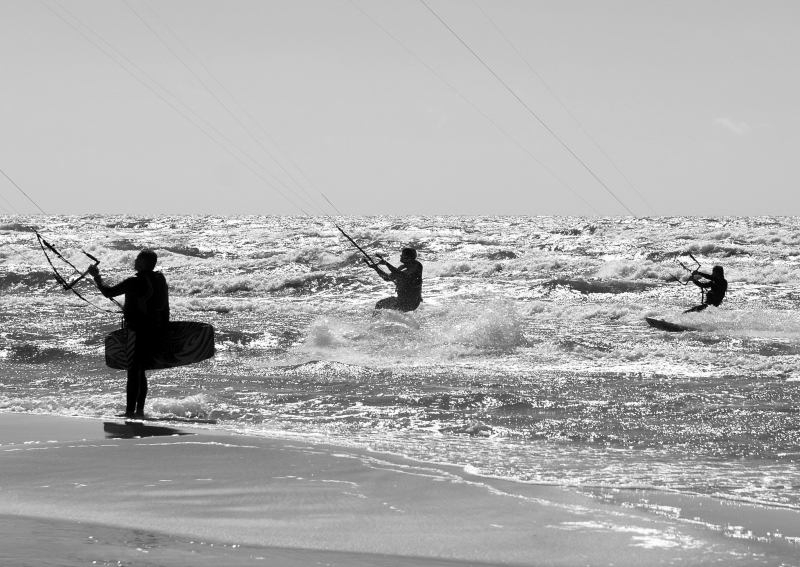 catch the wind