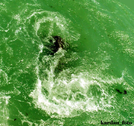 Зеленый водоворот