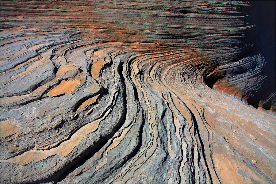 la Volute