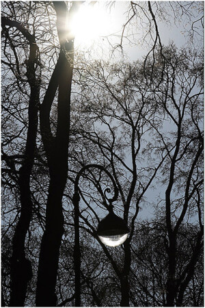 питерские узоры