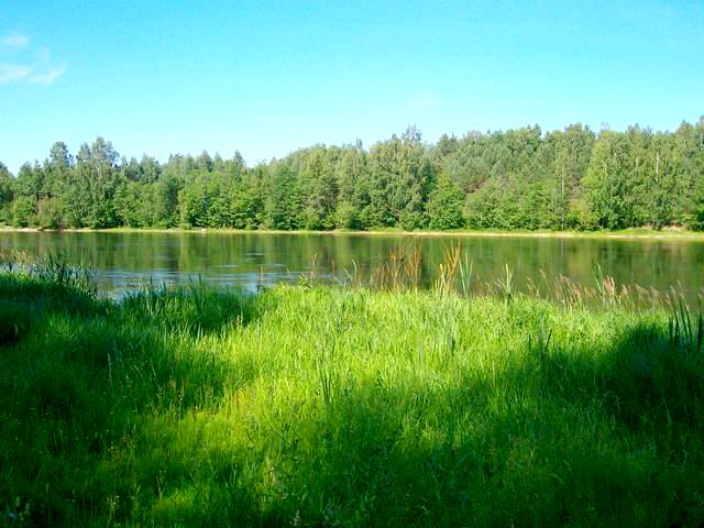 Утро на реке