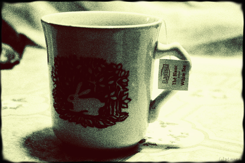 rabbit_cup