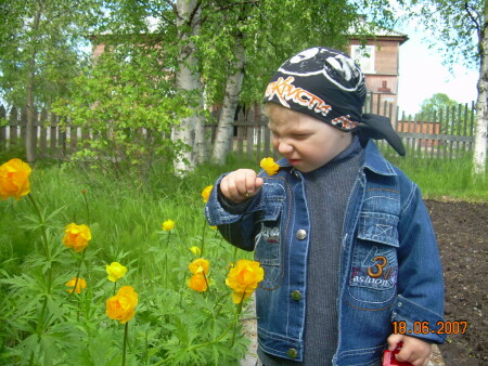 Аромат