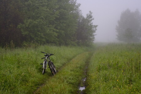 Свидание велосипедов