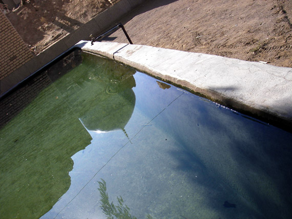 Reflection