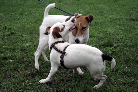 дай че на ушко скажу:)