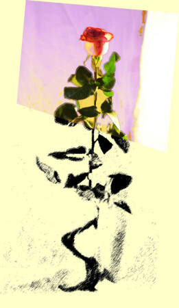 Роза(графика)