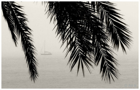 Somewhere in the South II