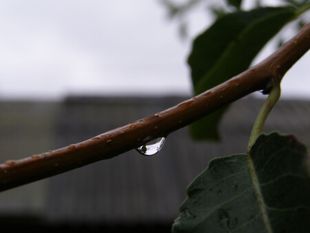 после дождя