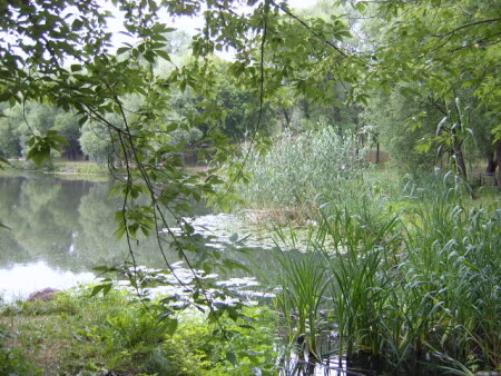 ботанический сад