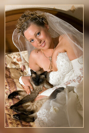 Любимец невесты!