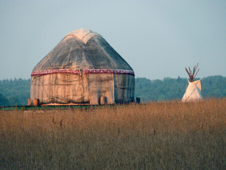 Степная жизнь