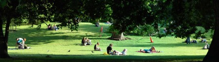 Сиеста а'ля St James Park