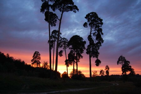 Закат на родине