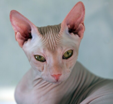 Margo