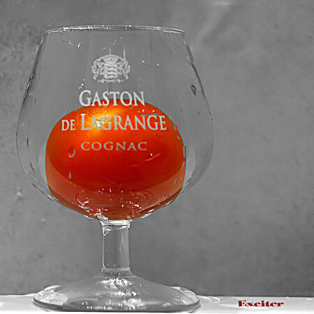 Gaston