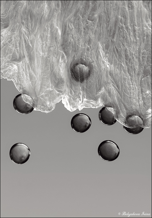 Forms