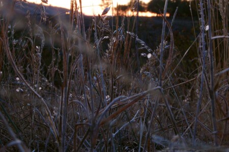 я лежал и смотрел...