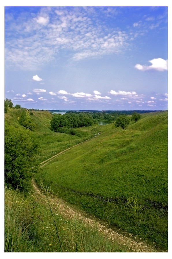 Балка (Сасовское Городище)