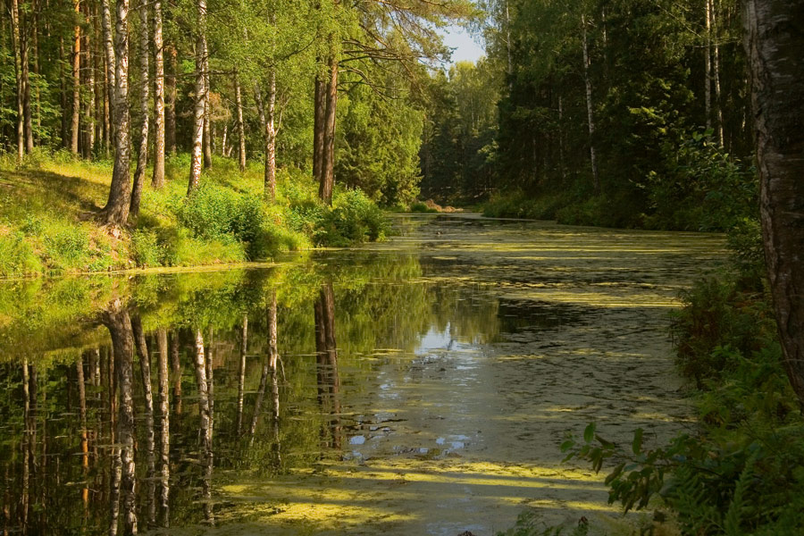 Павловские пруды