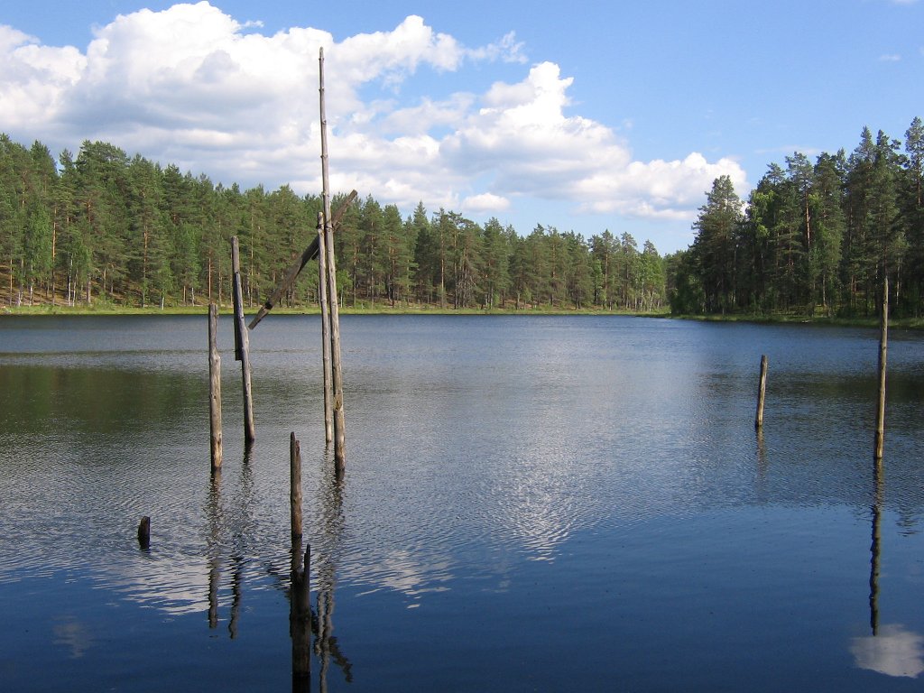 лесное озеро