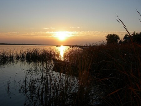 Дельта Дона