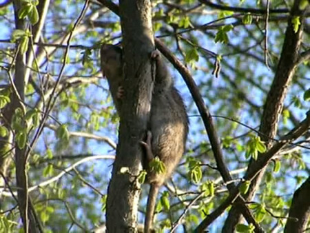 Штурмуем высоты