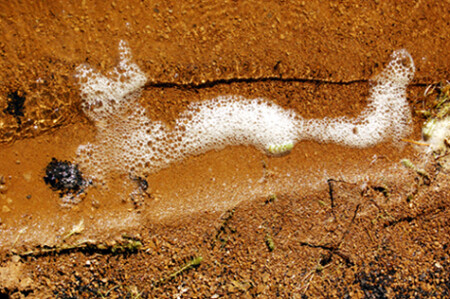 Рожденная из пены морской...