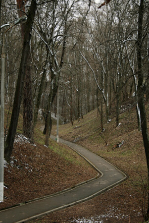 Между летом и зимой