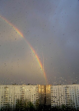 Радуга в каплях дождя