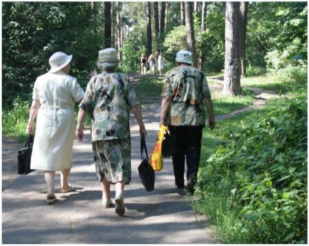 Ни сахара, ни холестерина