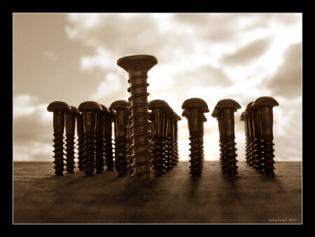 Новобранцы..