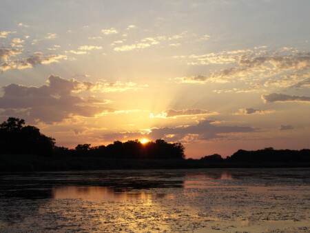 Закат на болотах