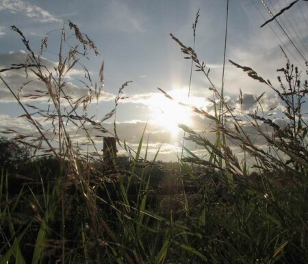 ...о благорастворении воздухов...