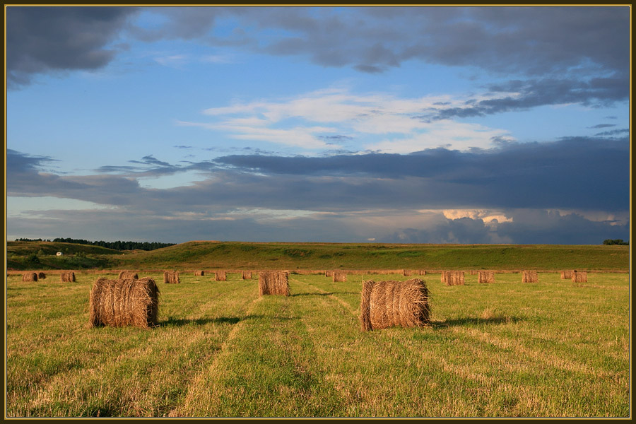 Сенокос