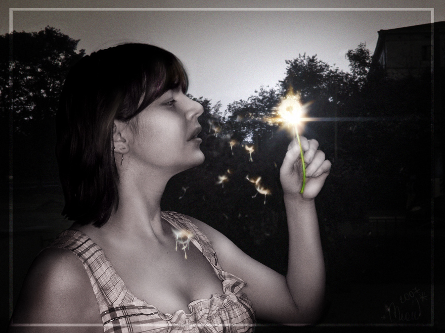 Сatch the light