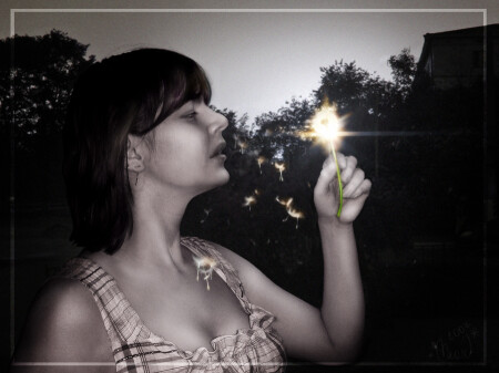 Сatch the light