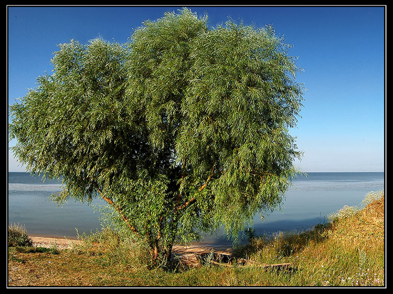на берегу каховского водохранилища