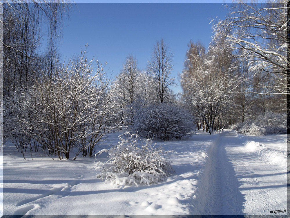 -28